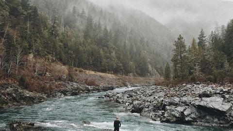 op script aimbot weapon spwnneand more - Universal script preview