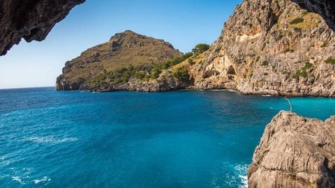 op script aimbot weapon spwnneand more - Universal script preview