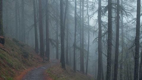 op script aimbot weapon spwnneand more - Universal script preview