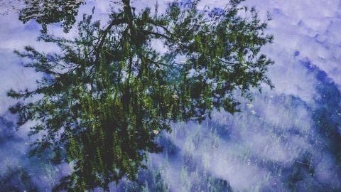 op script aimbot weapon spwnneand more - Universal script preview