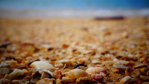 op script aimbot weapon spwnneand more - Universal script preview