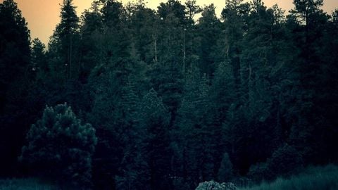 op script aimbot weapon spwnneand more - Universal script preview