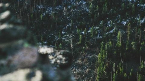 op script aimbot weapon spwnneand more - Universal script preview