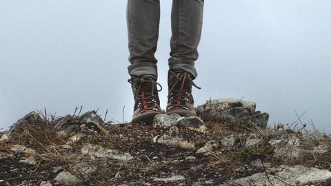 op script aimbot weapon spwnneand more - Universal script preview