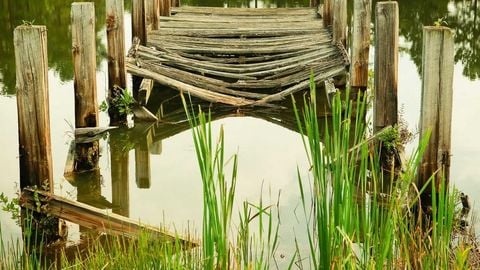 op script aimbot weapon spwnneand more - Universal script preview