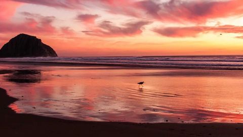 op script aimbot weapon spwnneand more - Universal script preview