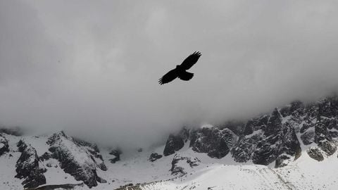 op script aimbot weapon spwnneand more - Universal script preview