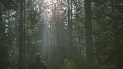 op script aimbot weapon spwnneand more - Universal script preview