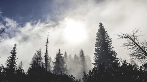 op script aimbot weapon spwnneand more - Universal script preview