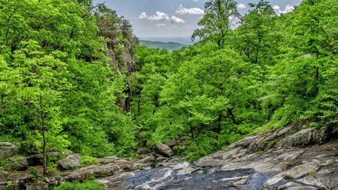 op script aimbot weapon spwnneand more - Universal script preview