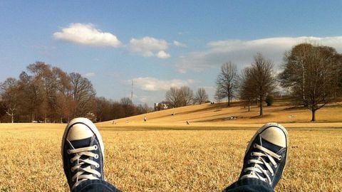 op script aimbot weapon spwnneand more - Universal script preview