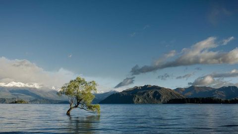 op script aimbot weapon spwnneand more - Universal script preview