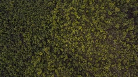 op script aimbot weapon spwnneand more - Universal script preview