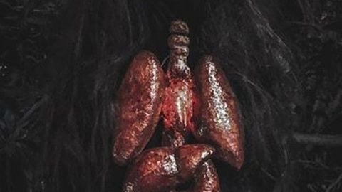 op script aimbot esp and more - Universal script preview