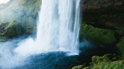 dwa - Universal script preview