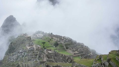 sdfaw - Universal script preview