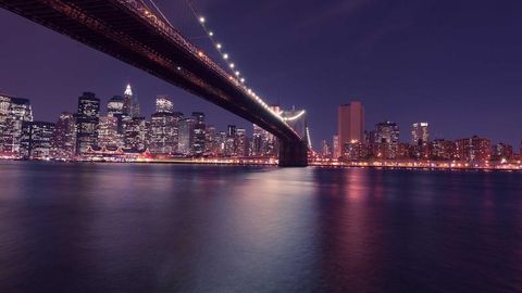 sdfaw - Universal script preview