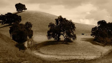 sdfaw - Universal script preview