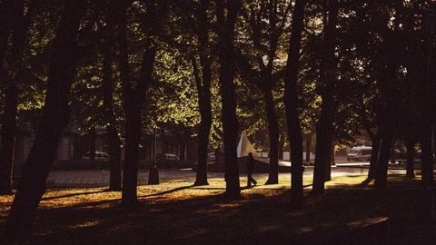 dsawd - Universal script preview