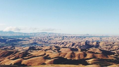 dsaw - Universal script preview