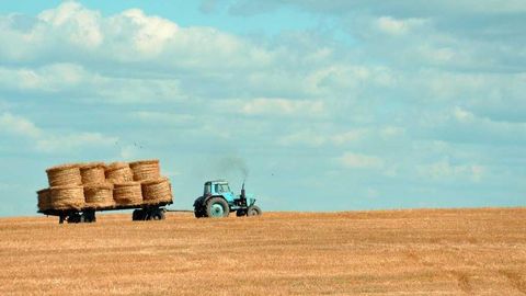 dsaw - Universal script preview