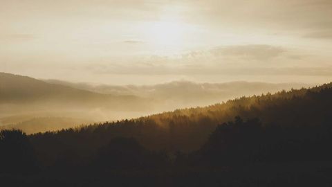 op script for can farm keyless - Universal script preview