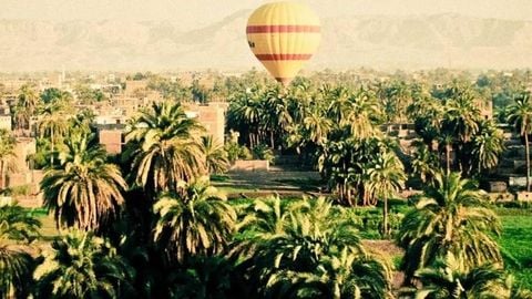 op script for can farm keyless - Universal script preview