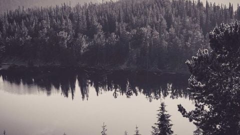 op script for can farm keyless - Universal script preview