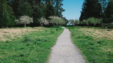 BEST OP Script GUI FREE - Universal script preview