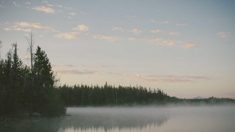 BEST OP Script GUI FREE - Universal script preview