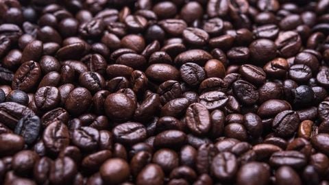 op script for can farm keyless - Universal script preview