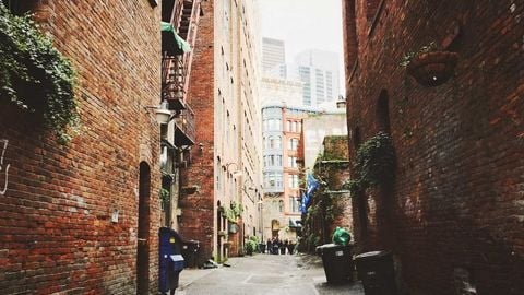 op script for can farm keyless - Universal script preview