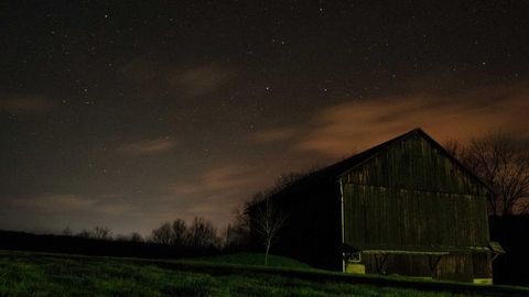 op script for can farm keyless - Universal script preview