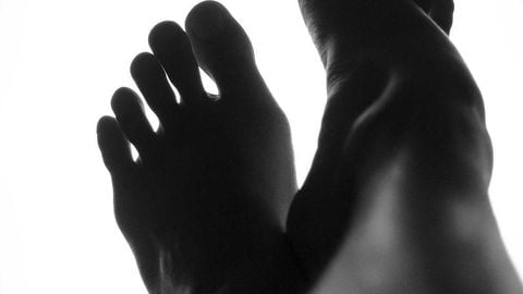 op script for can farm keyless - Universal script preview