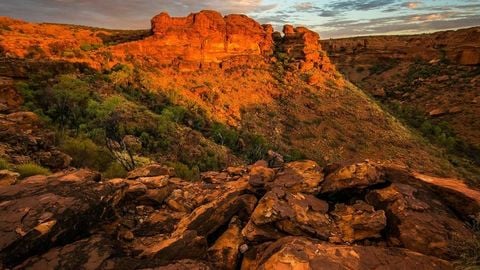 op script for can farm keyless - Universal script preview