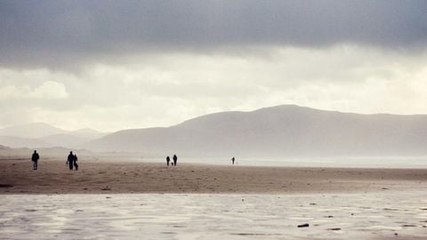 op script for can farm keyless - Universal script preview