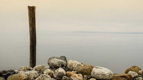 op script for can farm keyless - Universal script preview