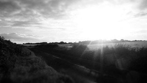 op script for can farm keyless - Universal script preview