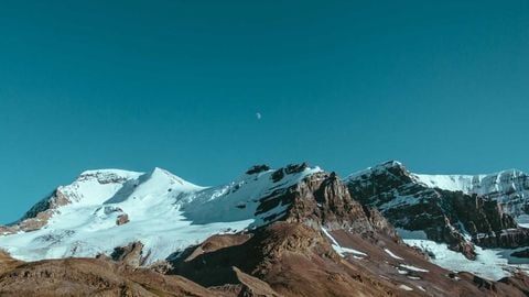 op script for can farm keyless - Universal script preview