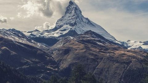 op script for can farm keyless - Universal script preview