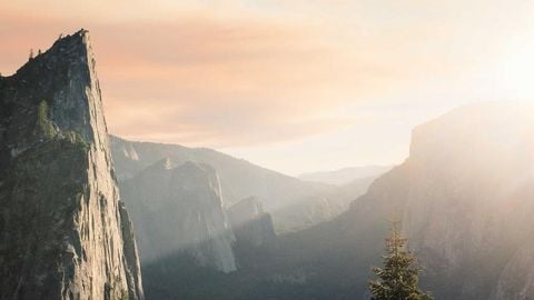 op script for can farm keyless - Universal script preview