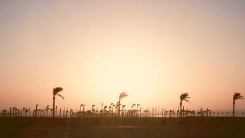 BEST OP Script GUI FREE - Universal script preview