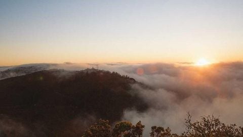 BEST OP Script GUI FREE - Universal script preview