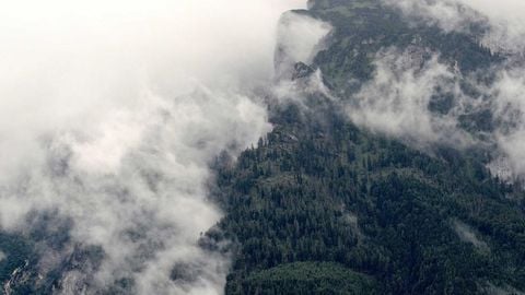 op script exp farming - Universal script preview