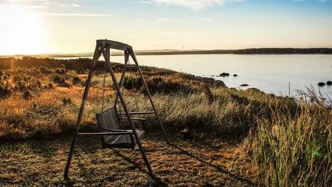 op script exp farming - Universal script preview