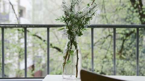 op script for can farm keyless - Universal script preview