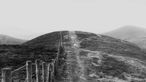 BEST OP Script GUI FREE - Universal script preview