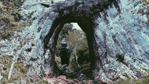 BEST OP Script GUI FREE - Universal script preview