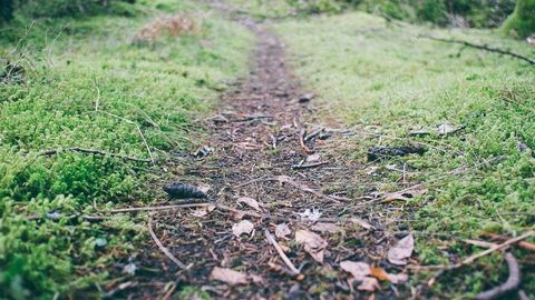 BEST OP Script Duel GUI FREE - Universal script preview