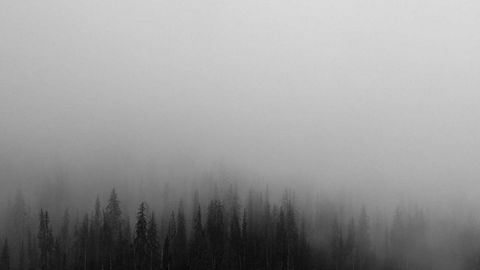 BEST OP Script Duel GUI FREE - Universal script preview